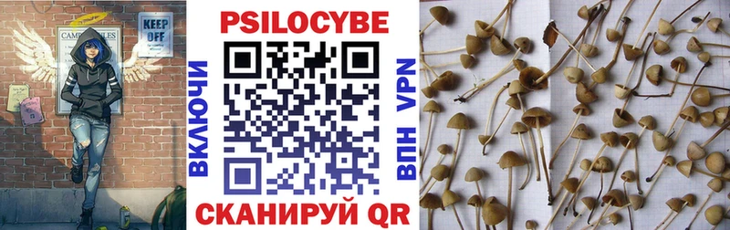 Псилоцибиновые грибы Magic Shrooms  как найти закладки  blacksprut ССЫЛКА  Волосово 